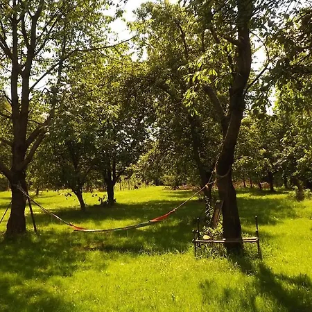 Agroturystyka Pod Brzeziem Διαμέρισμα