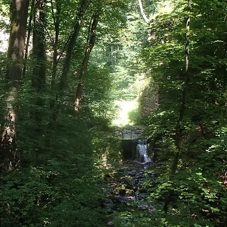 Agroturystyka Pod Brzeziem * Gorenice