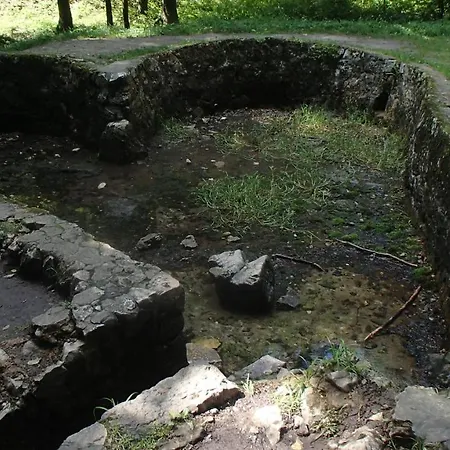 Agroturystyka Pod Brzeziem